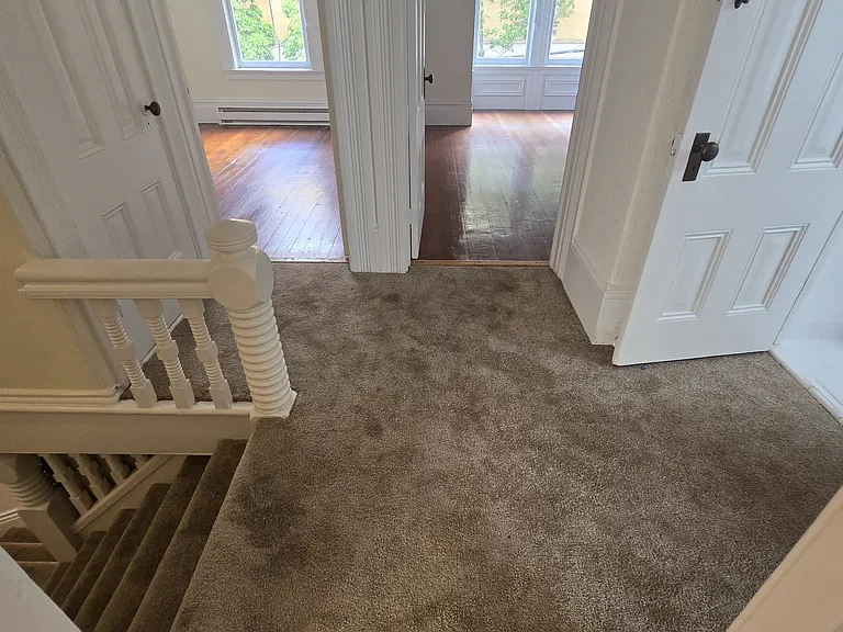 780 Fell St #2 — Photo 8