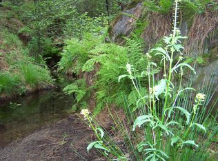 36980 Peterson Rd, Auberry, CA 93602