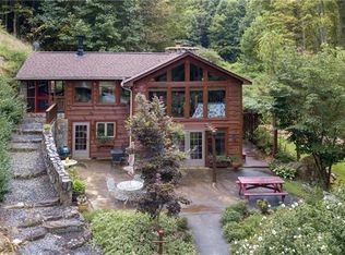 48 Tater Hill Farm Rd, Canton, NC 28716