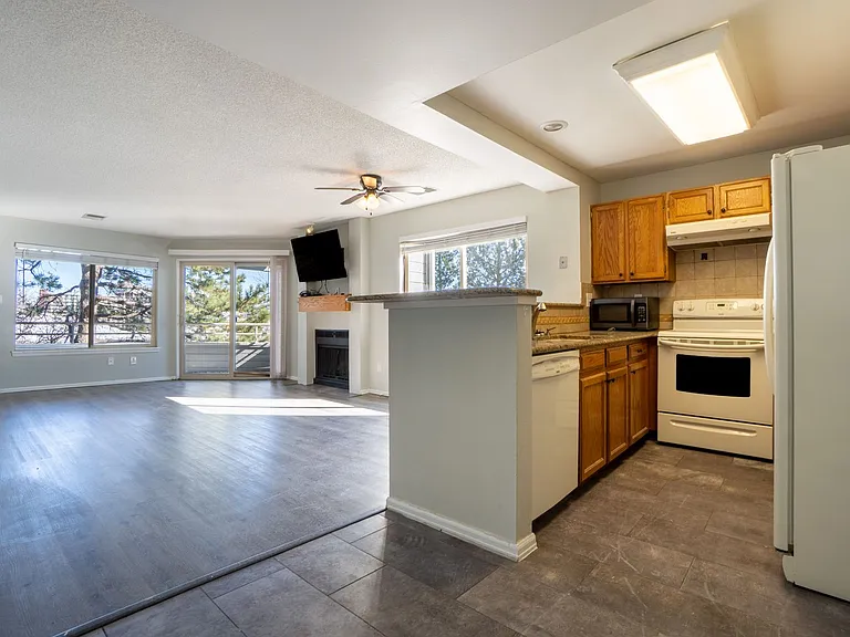 3684 Iguana Dr — Photo 3