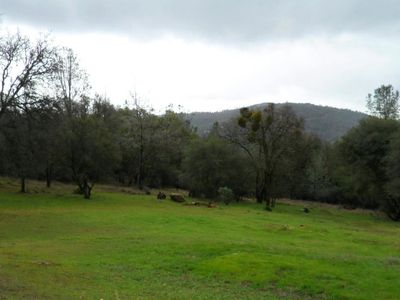 8074 Wildflower Way, Oregon House, CA, 95962