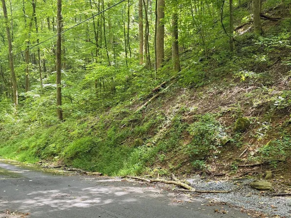 25 Black Walnut Flats Rd Lot 25, Sevierville, TN 37862