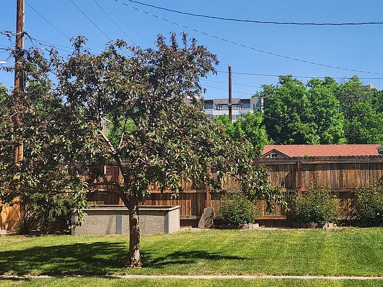 Private, peaceful backyard