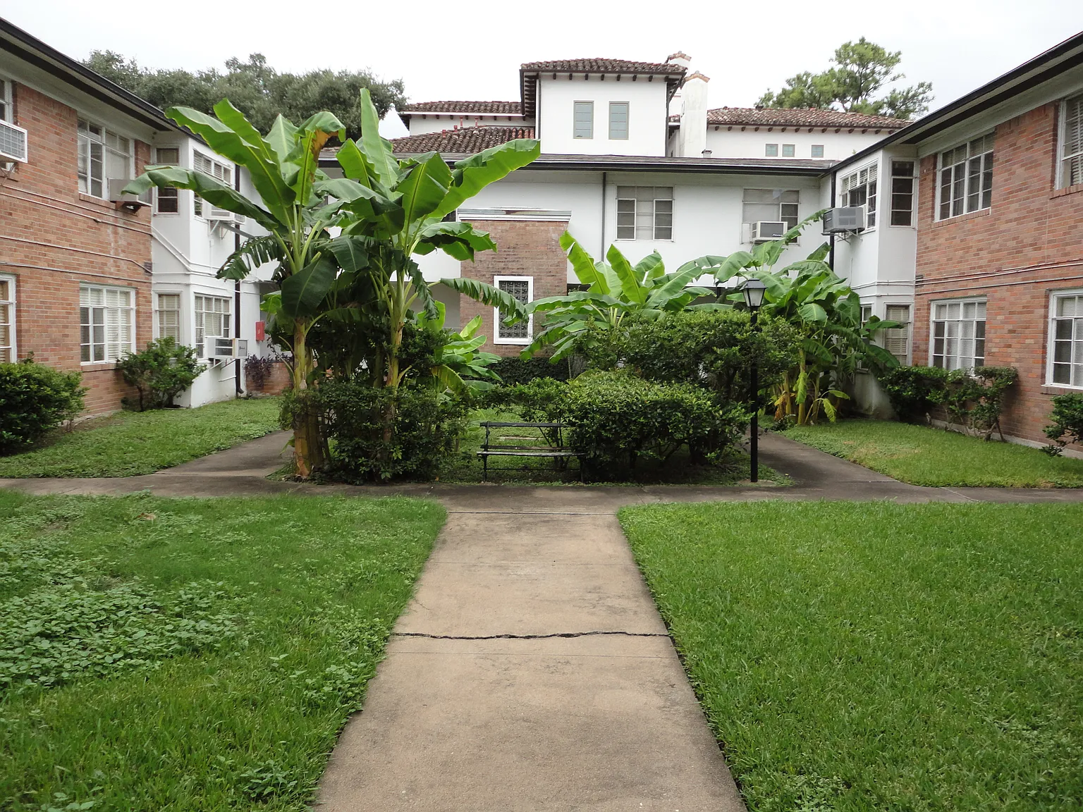 1 bed, $830 — Photo 3