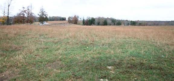 4th image of 4025 Chapel Hill Rd Lot 1