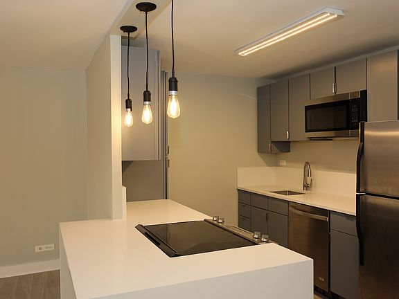 3rd image of 3930 N Pine Grove Ave APT 1004