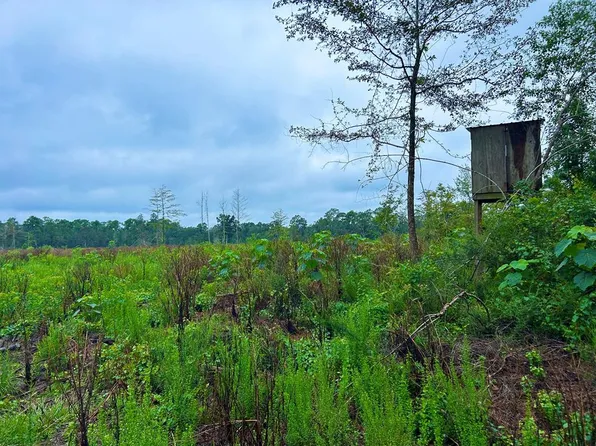 Indian Ln, Vancleave, MS 39565