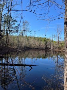 0 County Road 7708, Troy, AL, 36081