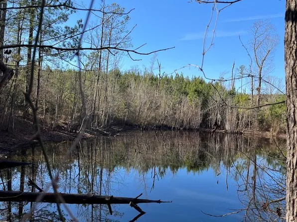 0 County Road 7708, Troy, AL 36081