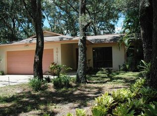 10111 Lichen Ct, Orlando, FL 32817