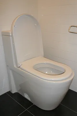 Rented by SAS Properties, Inc. | media 26