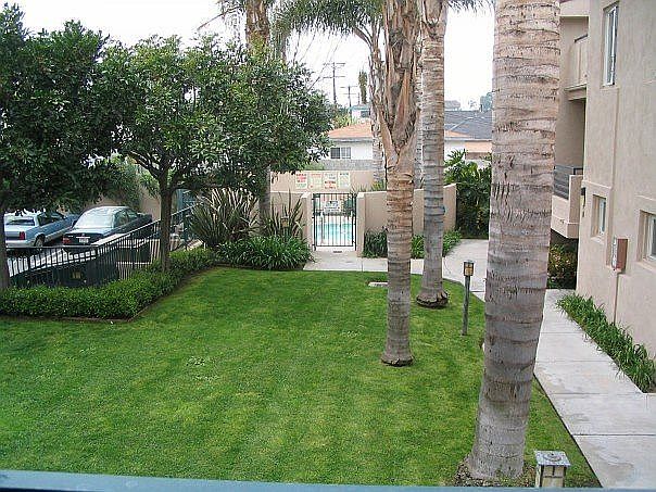 View from downstairs balcony