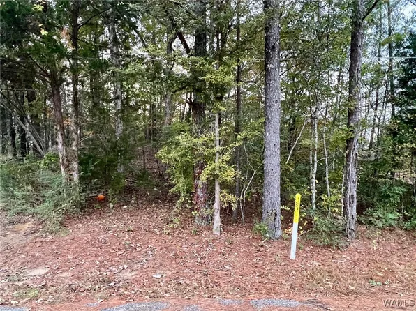 0 8th Ave SW, Fayette, AL 35555