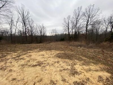 Buntin Schoolhouse Rd, Manitou, KY, 42436