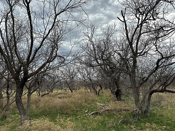 2nd image of TRACT 14 Ac Cres #105