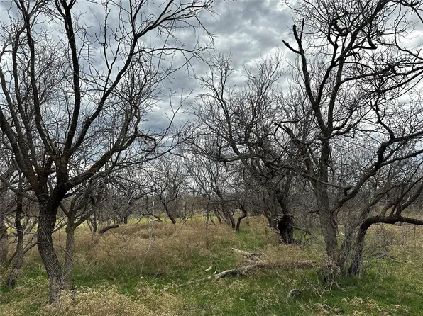 TRACT 13 Ac Cres #105, Abilene, TX 79601