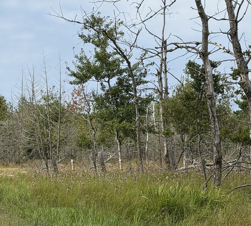 1st image of Fairway W