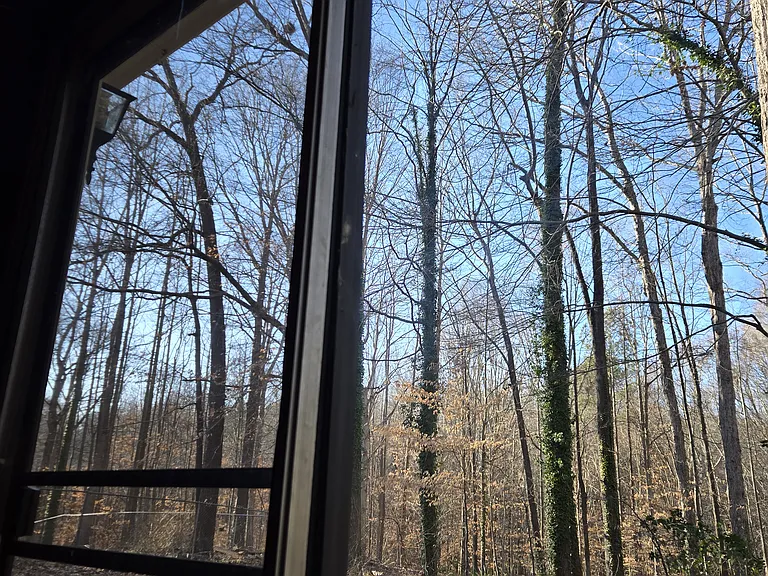 Rear Sliding door in family room looking into backyard