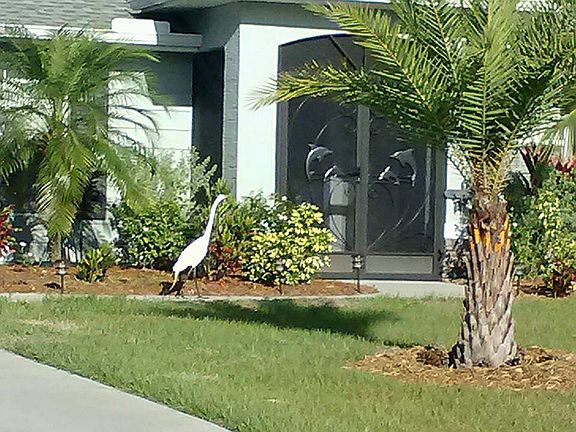 3rd image of 277 Rotonda Blvd N