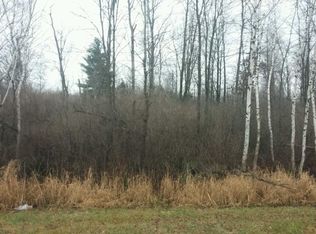 Sanilac Rd, Vassar, MI 48768