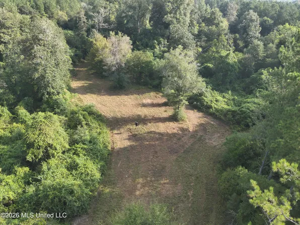 220 Highway 43, Oak Vale, MS 39656