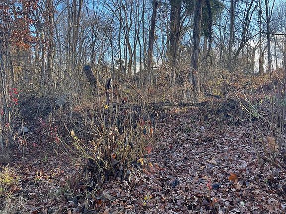 5th image of LOT 9 White St