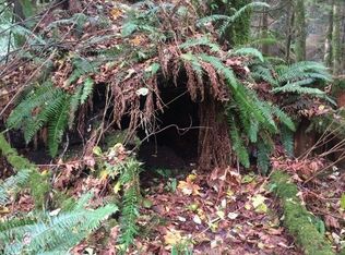 30000 Prevedell Rd, Sedro Woolley, WA 98284