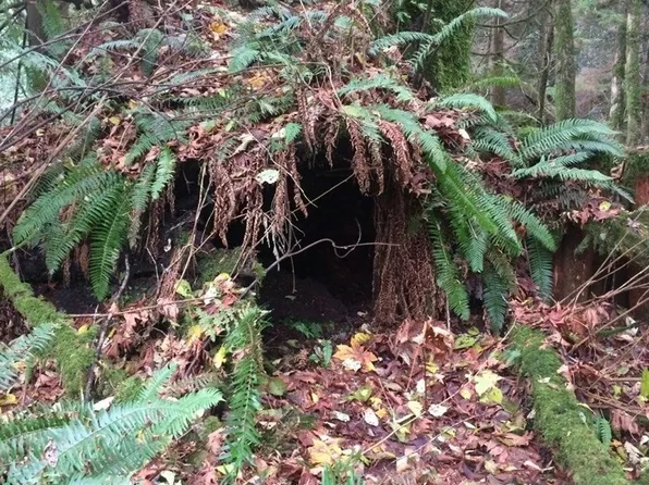 30000 Prevedell Road, Sedro Woolley, WA 98284