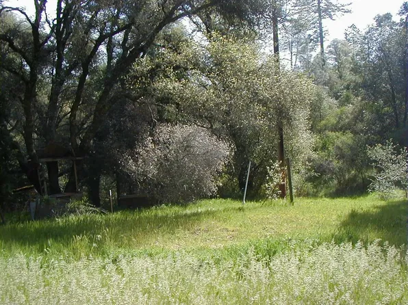 7591 Buzzards Gulch Rd, Somerset, CA 95684