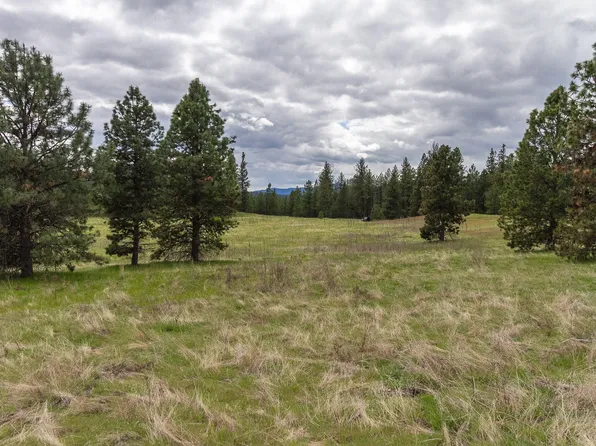 1100 Kitt Narcisse Rd Parcel D, Colville, WA 99114