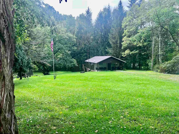 164 Marple Rd, Valley Head, WV 26294