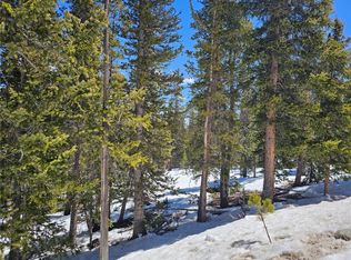 318 El Lobo Ln, Fairplay, CO 80440