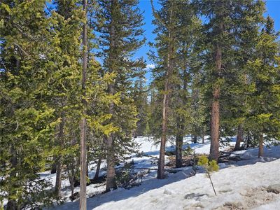 318 El Lobo Ln, Fairplay, CO, 80440