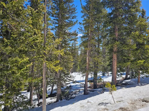 318 El Lobo Ln, Fairplay, CO 80440