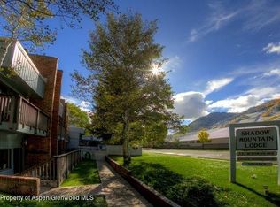 232 W Hyman Ave #6, Aspen, CO 81611