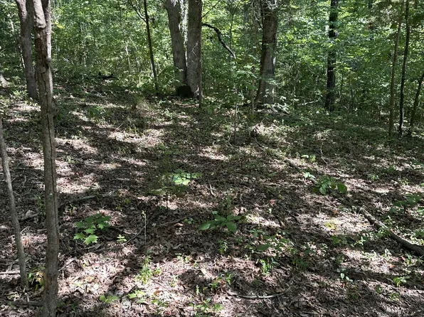0 Lee Ln, Big Rock, TN 37023