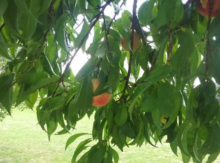 5625 Crest Ct, Dexter, MI 48130