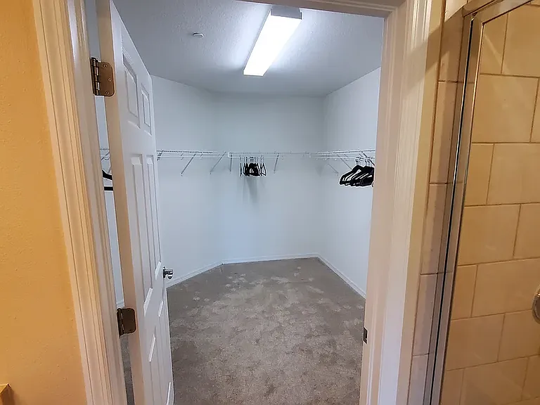 Walk-in Closet (Master Bathroom)