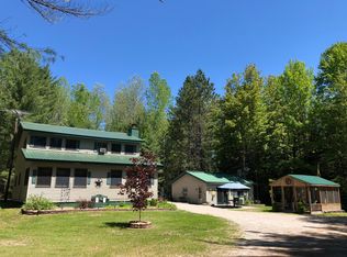 10765 S Black River Rd, Onaway, MI 49765