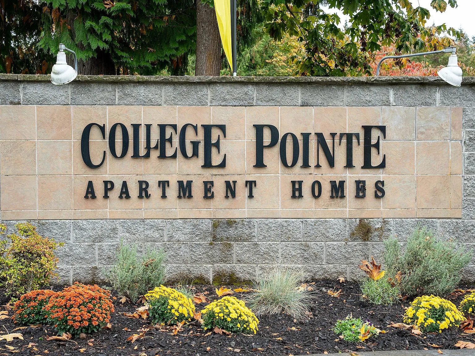 College Pointe Apartments — Photo 1