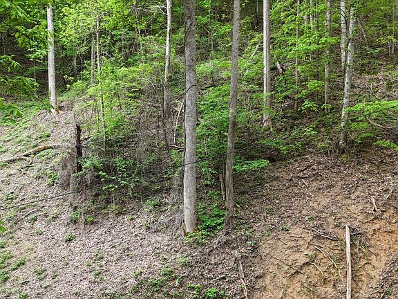 2nd image of 33 Black Walnut Flats Rd