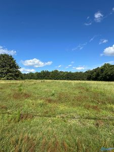 391 Rabbit Town Rd, Albertville, AL, 35950