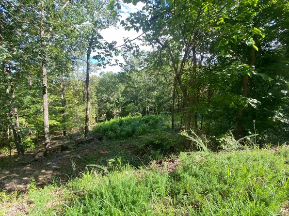 137 Shore Dr, Shirley, AR 72153