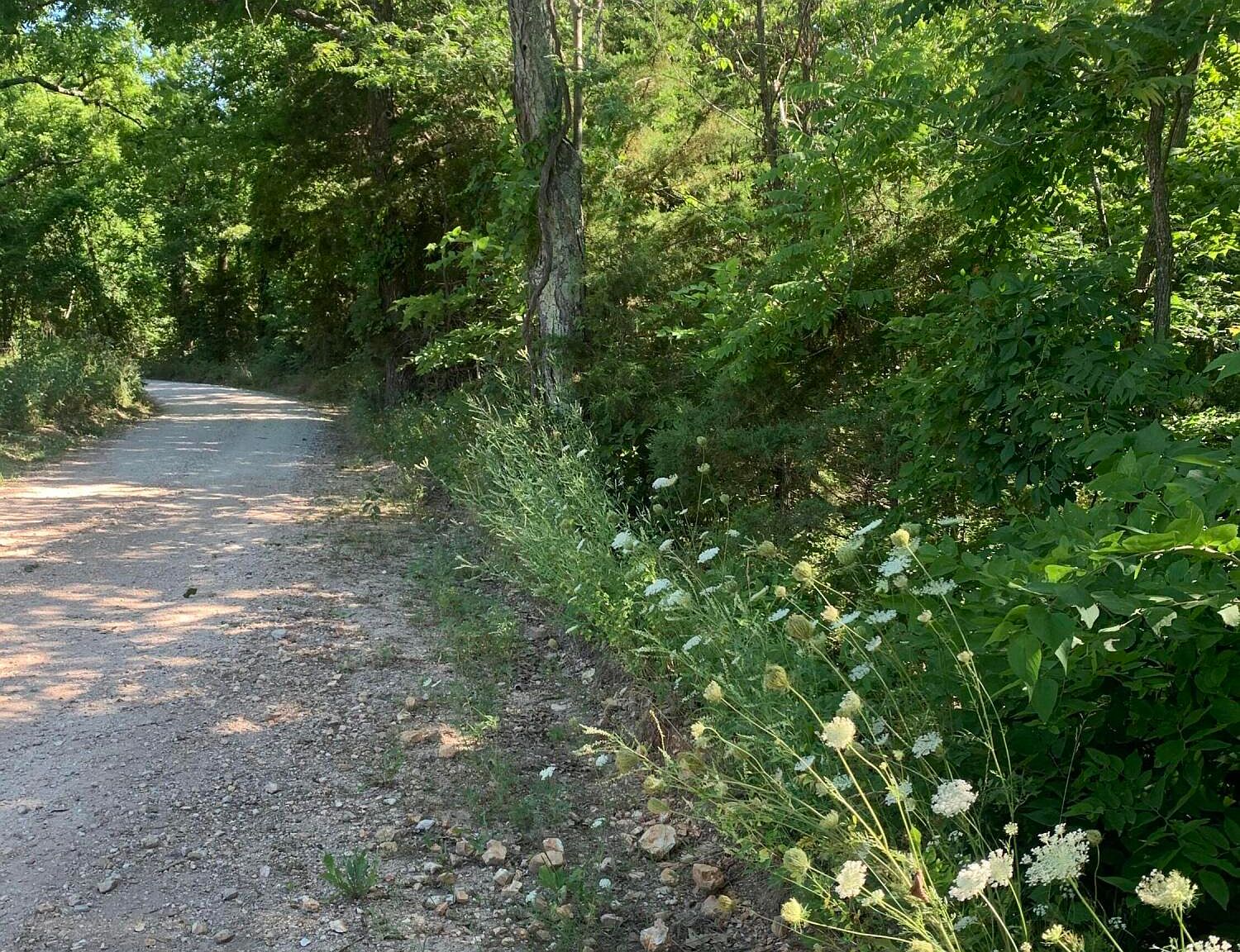 000 Blackfoot Road, Fordland, MO 65652 MLS 60221572 Zillow