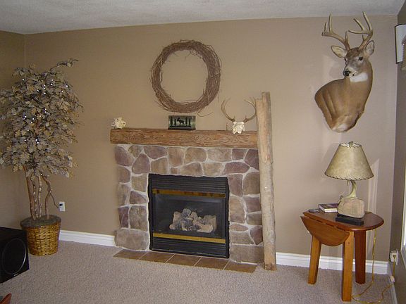 Gas Fire place - Family Room