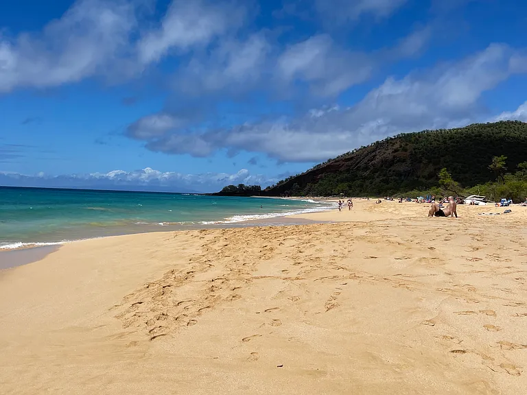 30 Hauoli St #410 — Photo 10