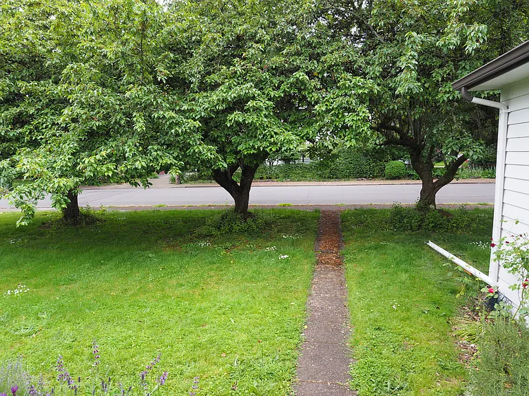 Front yard looking south.