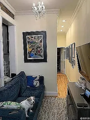 Rented by Oxford Property Group | media 29