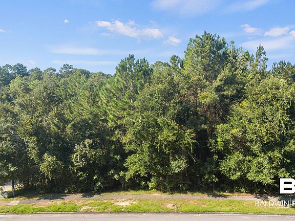 4th image of 9494 Hackberry Ct
