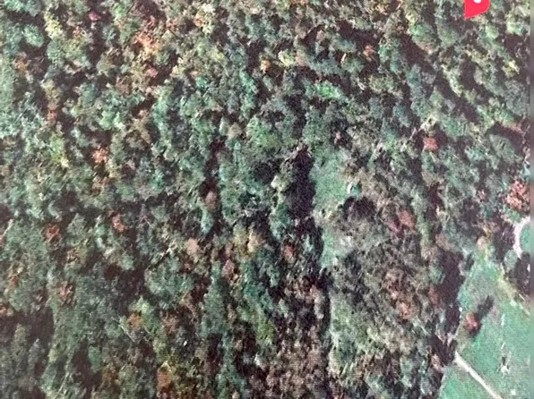 110 Winn Road, Falmouth, ME 04105